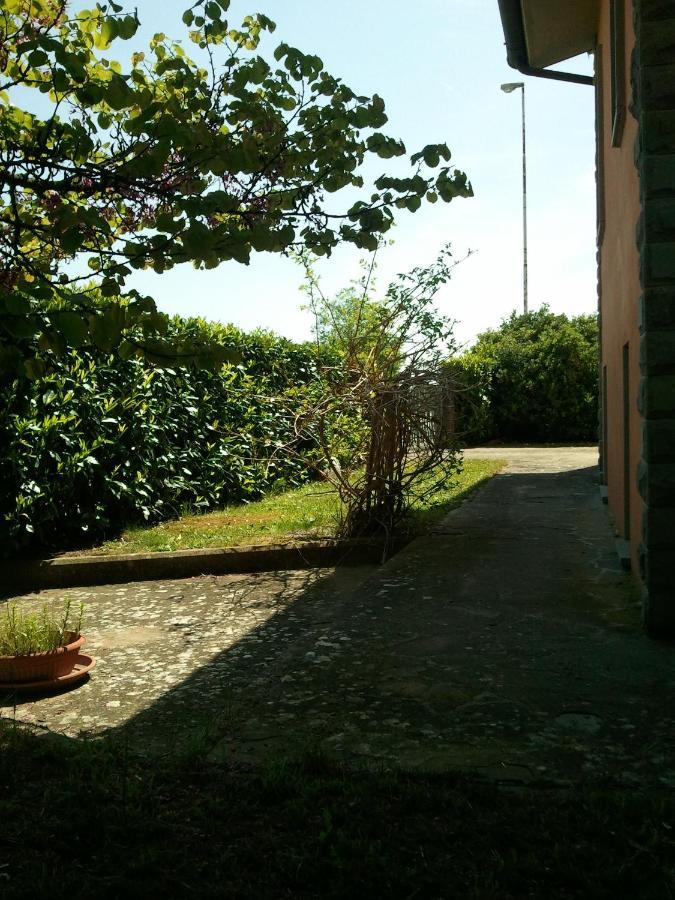 B&B Molin Del Topo Monte San Savino Luaran gambar